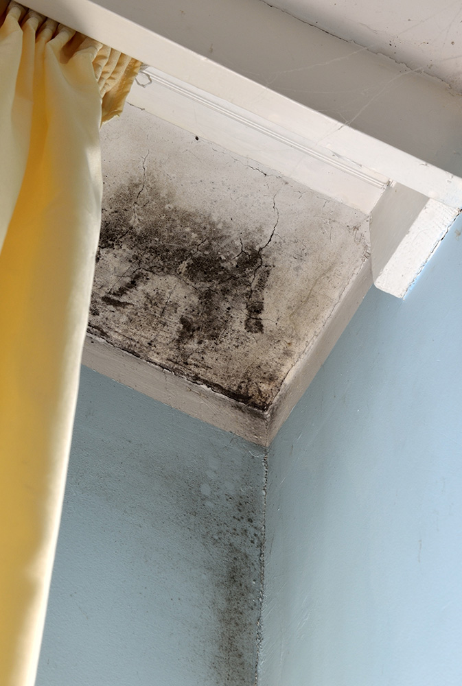 Corner of ceiling with mold.