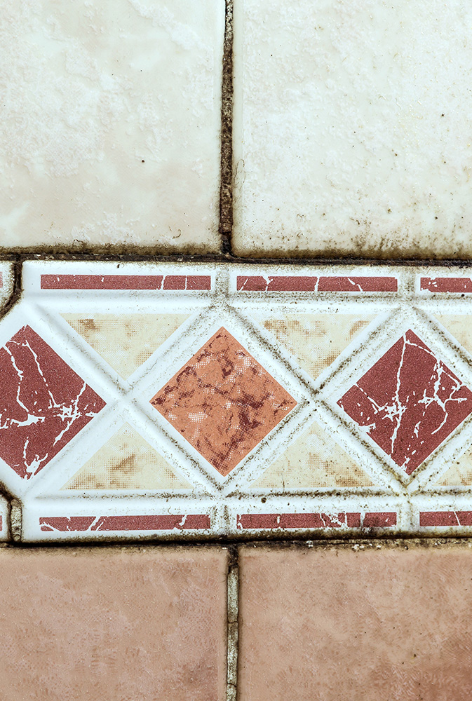 Bathroom tile with mold on grout.