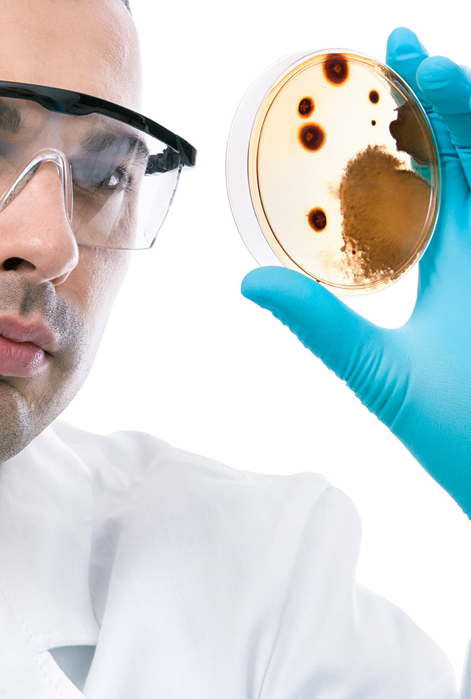 Scientist looking at mold in petri dish.