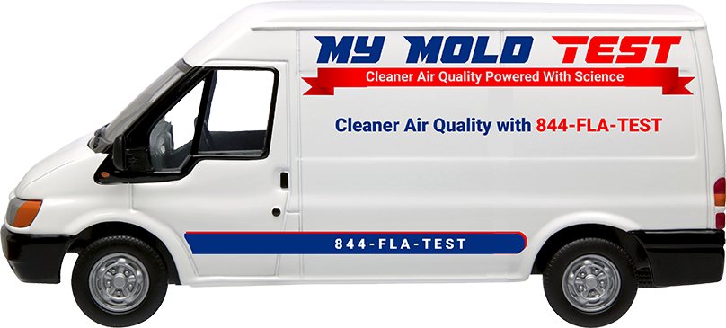 My Mold Test company work van.